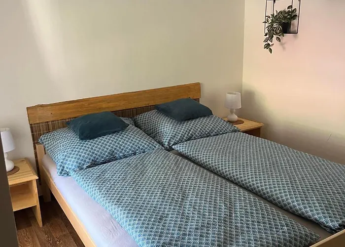 公寓 Vojtechov Hvozd